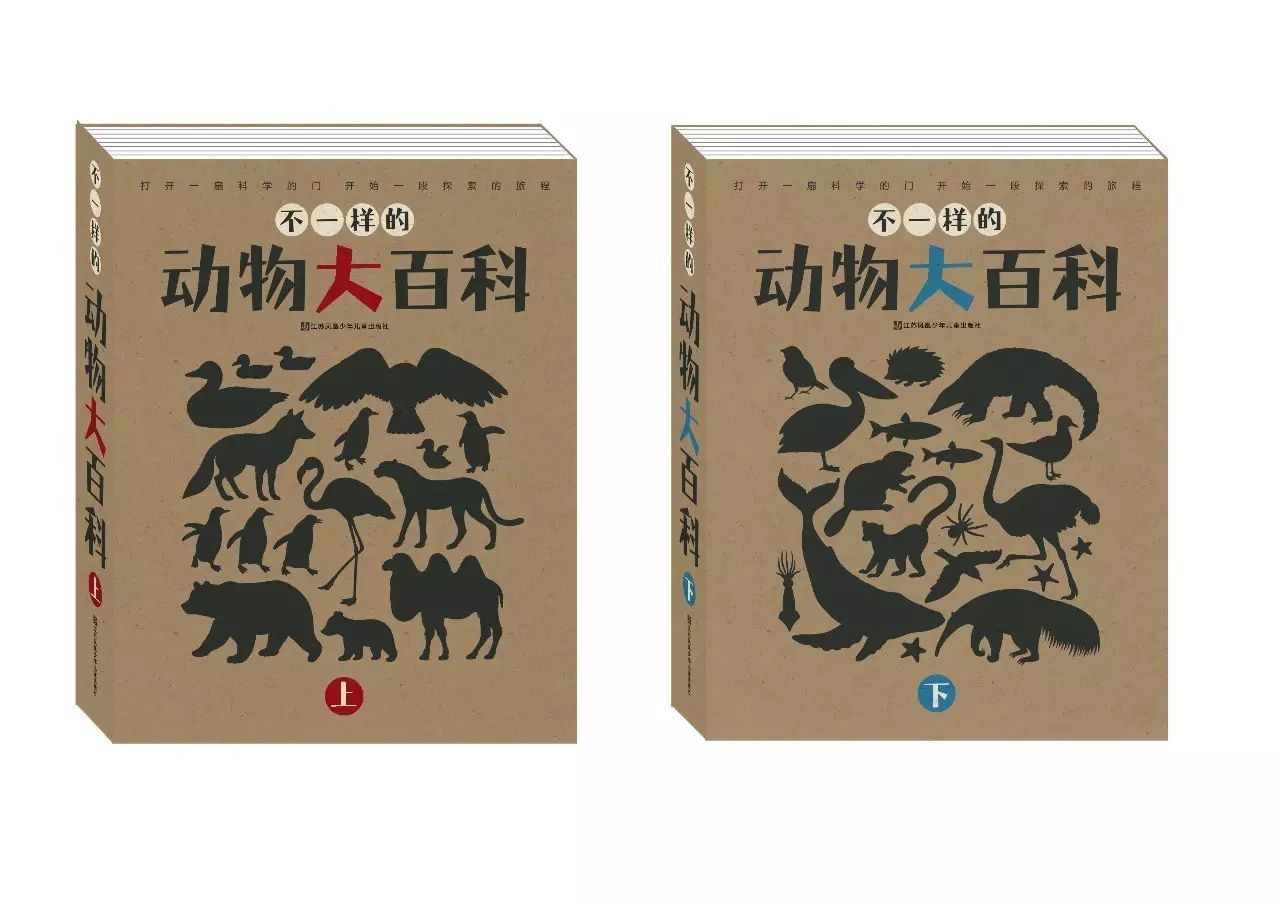 斑马的日常生活_斑马生活是什么_斑马生活科普常识