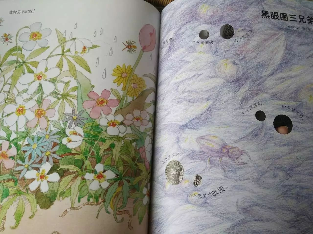 斑马生活科普常识_斑马的日常生活_斑马生活是什么