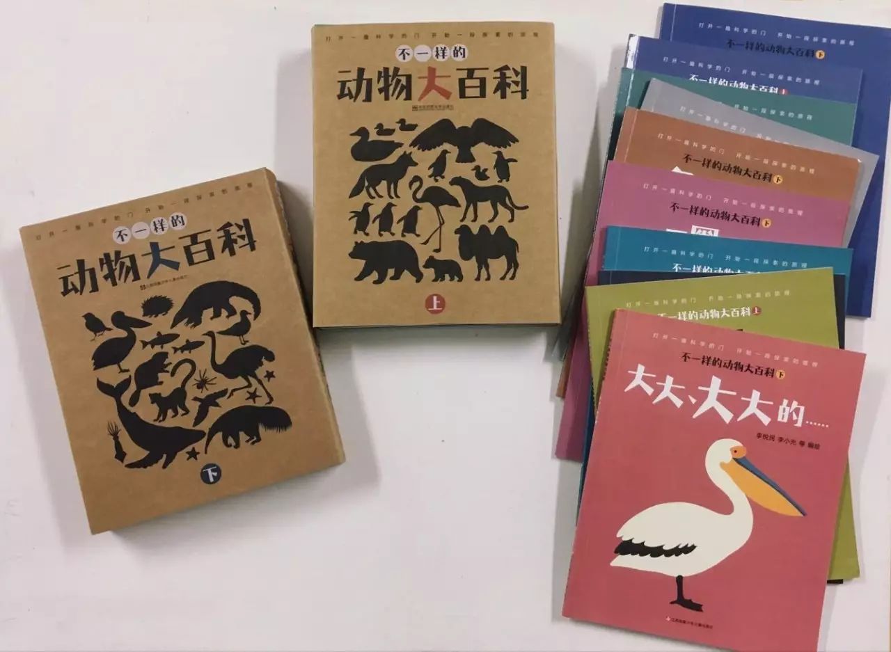 斑马的日常生活_斑马生活科普常识_斑马生活是什么