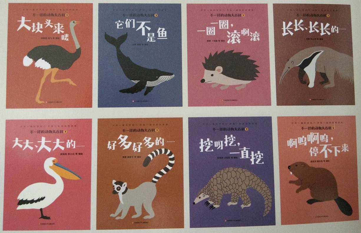 斑马的日常生活_斑马生活是什么_斑马生活科普常识