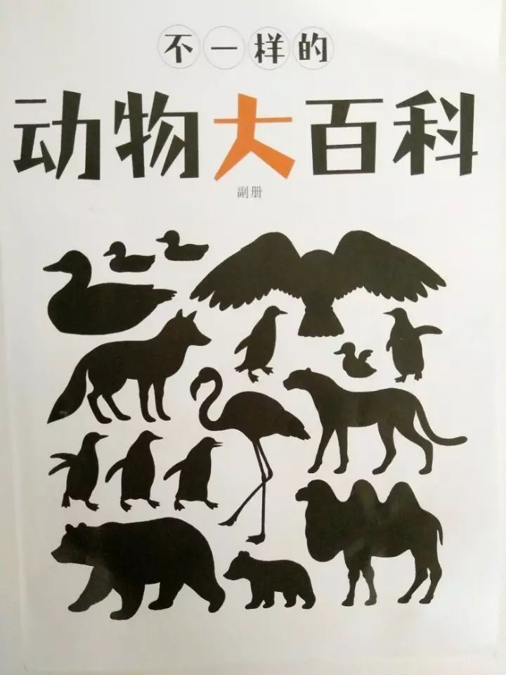 斑马生活是什么_斑马生活科普常识_斑马的日常生活