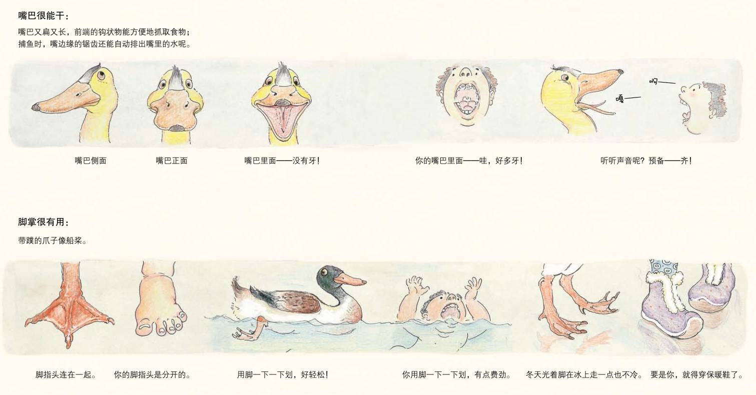 斑马的日常生活_斑马生活科普常识_斑马生活是什么
