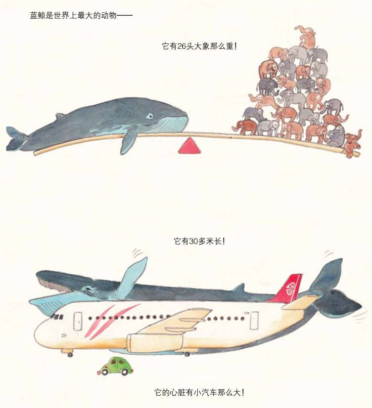 斑马生活是什么_斑马的日常生活_斑马生活科普常识