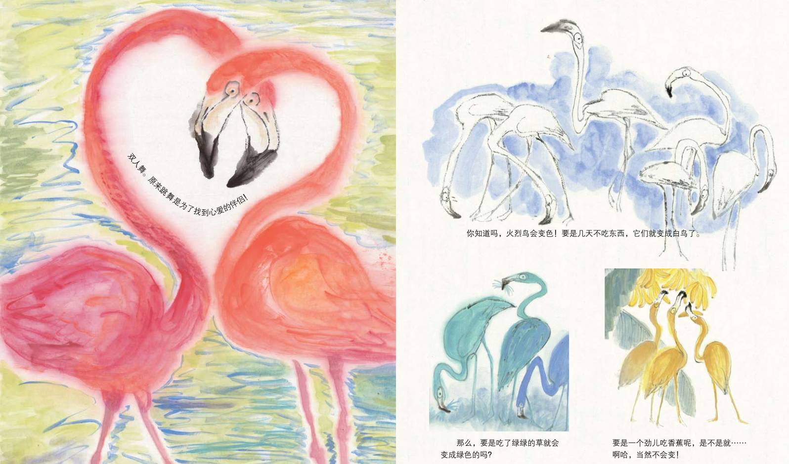 斑马生活科普常识_斑马的日常生活_斑马生活是什么