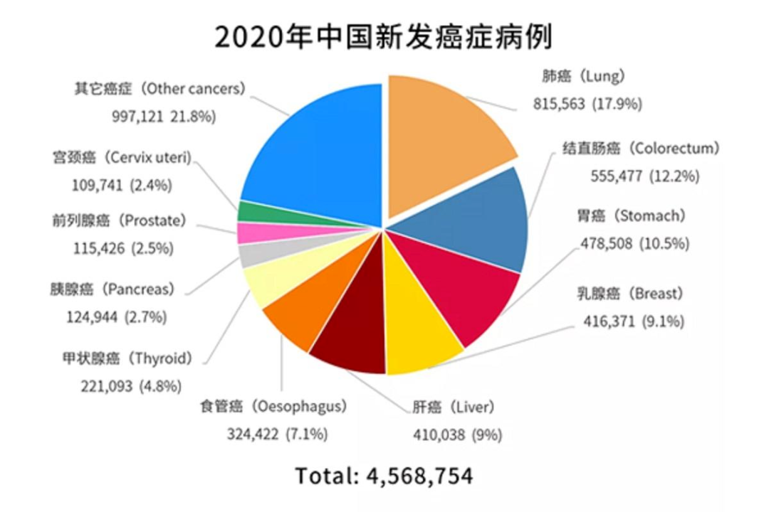 生理健康的内容包含哪些_生理健康亚健康_生理健康的标准包括哪15项