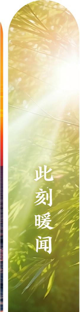 有篮球抱规则球没上场怎么办_篮球场上的规则有没有抱球_篮球比赛抱球不走犯规吗