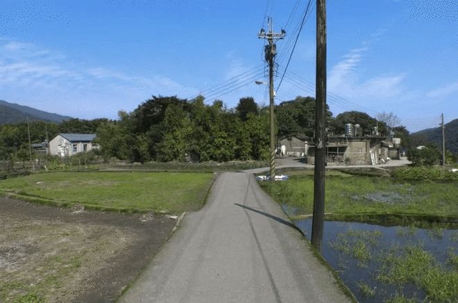 游泳抬头游怎么学_游泳不抬头拿冠军可以吗_抬头游泳视频教程