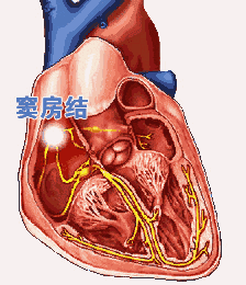 胸闷运动后觉得很舒服_有氧运动胸闷_胸闷运动后缓解是什么病