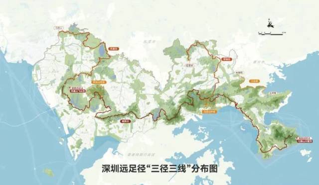 深圳 游泳冠军_深圳游泳名将_深圳游泳冠军赛