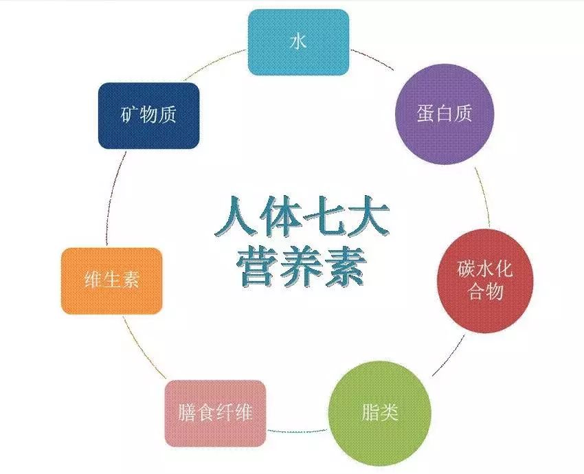 减脂健身营养原则_健身营养方案制定_营养健康的减肥方法