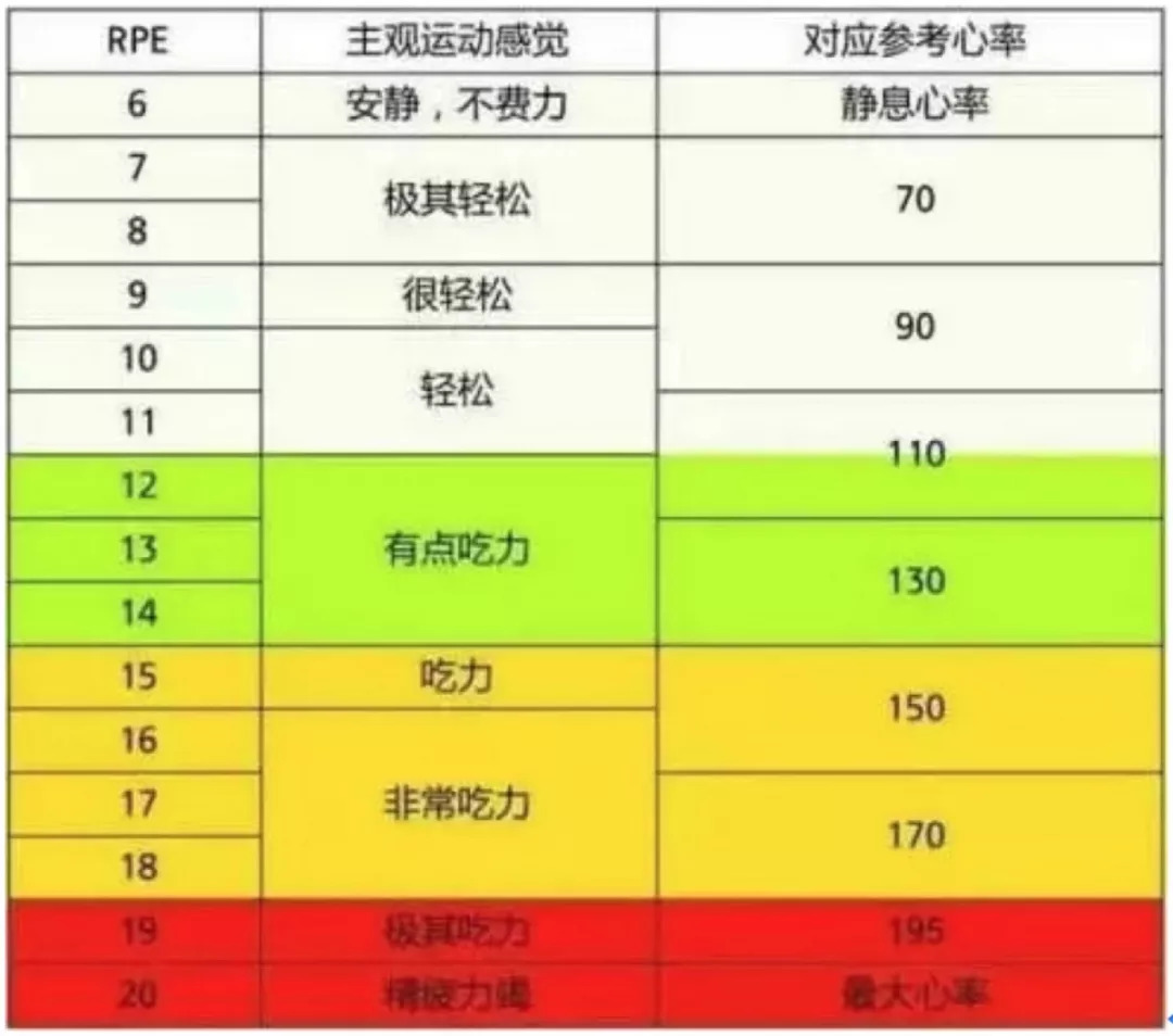 孕妇健身房运动方法_孕妇的健身运动_孕妇健身动作视频教程
