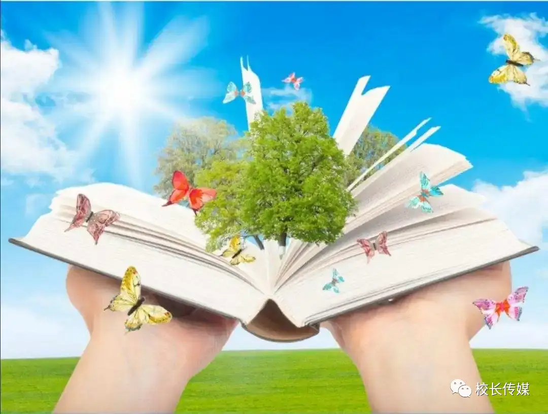 回归日常家庭孩子怎么办_回归日常家庭孩子的感受_孩子回归家庭日常
