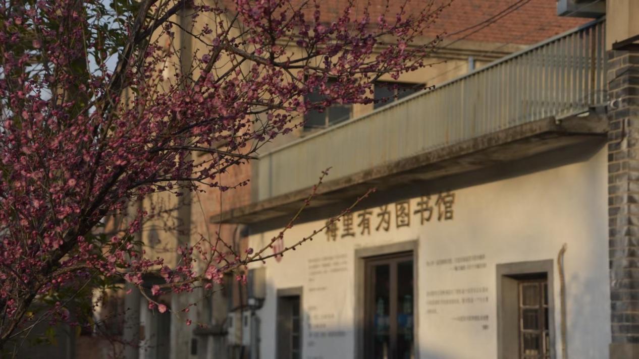 受访者张元：守护县城图书馆，琐碎工作中的日常修行